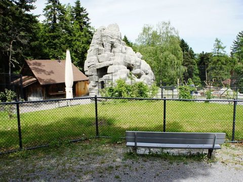 Wildpark Peter und Paul St. Gallen - Schofför - Eigenes Werk, CC BY-SA 3.0, https://commons.wikimedia.org/w/index.php?curid=32940000