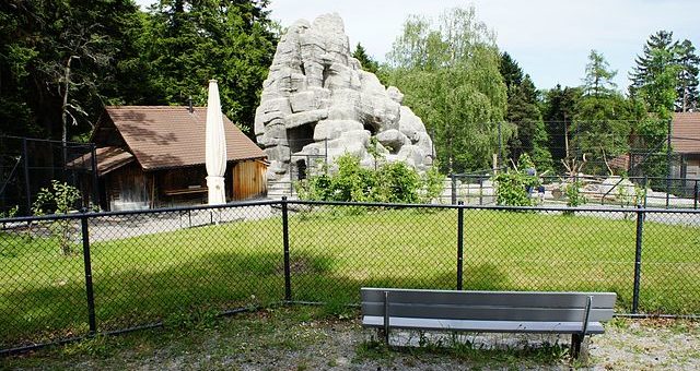 Wildpark Peter und Paul St. Gallen - Schofför - Eigenes Werk, CC BY-SA 3.0, https://commons.wikimedia.org/w/index.php?curid=32940000
