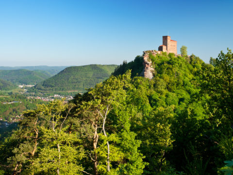 Burg Trifels bei Annweiler Bildnachweis: Rheinland-Pfalz Tourismus GmbH, Fotograf Dominik Ketz