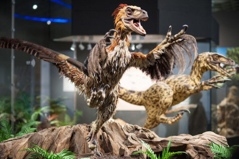 Heute präsentiert das LWL-Museum für Naturkunde zahlreiche Dauer- und Sonderausstellungen und ist für seine Dinosaurier-Ausstellung bei Groß und Klein bekannt. Foto: LWL/Steinweg