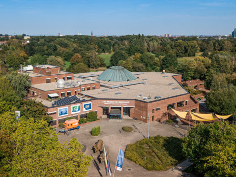 Das LWL-Museum für Naturkunde in Münster wird dieses Jahr 130 Jahre alt. Foto: LWL/Steinweg