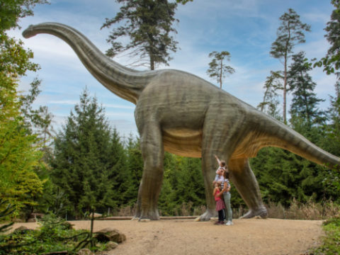 Dinopark - Bildrechte Naturpark Altmühltal