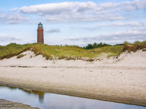 Der Darßer Weststrand besitzt eine ganz besondere Natur, deren Schönheit man vom Leuchtturm des NATUREUMs aus beobachten kann (Foto: Anke Neumeister/Deutsches Meeresmuseum