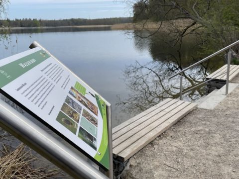 Im neuen Kurwald in Krakow am See finden Besucher unter anderem eine Kneipp-Wassertretanlage. © Bäderverband MV