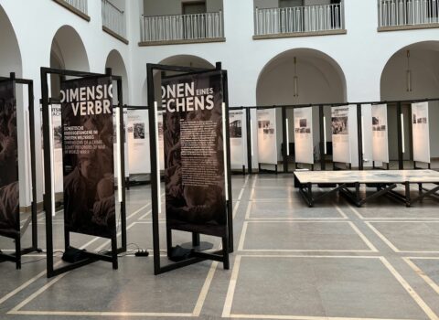 Bildnachweis: Bis zum 8. August ist die Ausstellung "Dimensionen eines Verbrechens" noch im LWL-Landeshaus in Münster zu sehen. Foto: LWL/Civis