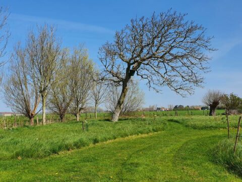 Die Wildnis - Bild Produktfeed campspace