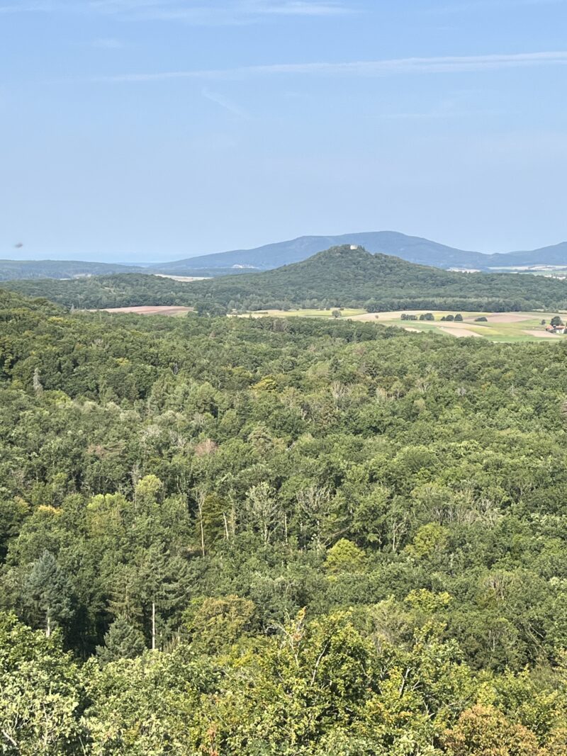 Wandern in Bad Rodach - Bild: Tourismusregion Coburg.Rennsteig e.V.