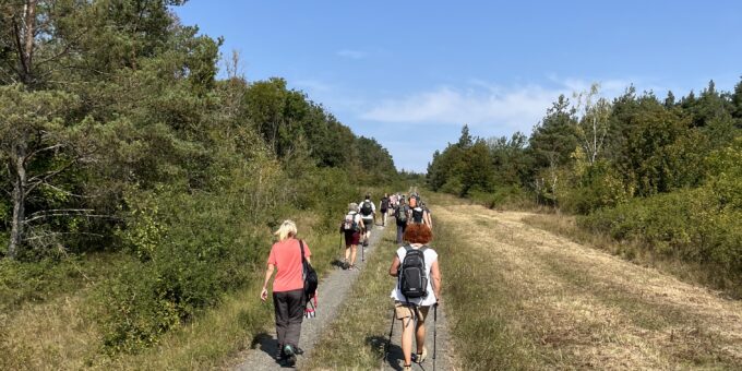 Wandern in Bad Rodach - Bild: Tourismusregion Coburg.Rennsteig e.V.